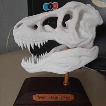White T-Rex 3d printed skull on table