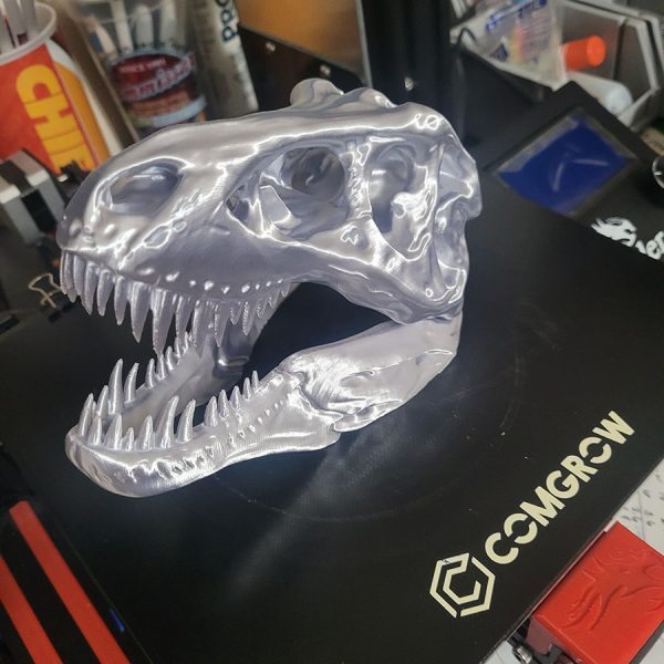 Clear T-Rex 3d printed skull on table