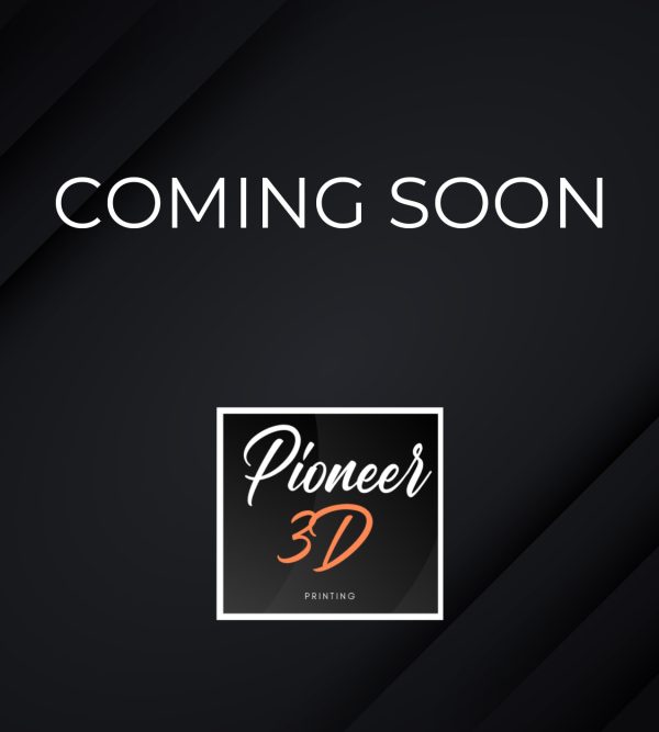 Pioneer 3D Printers Coming Soon