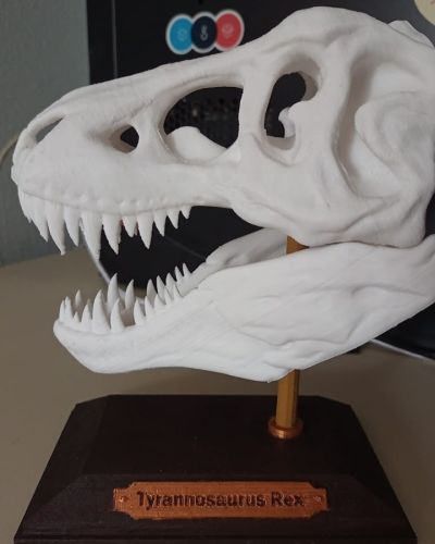 White T-Rex 3d printed skull on table